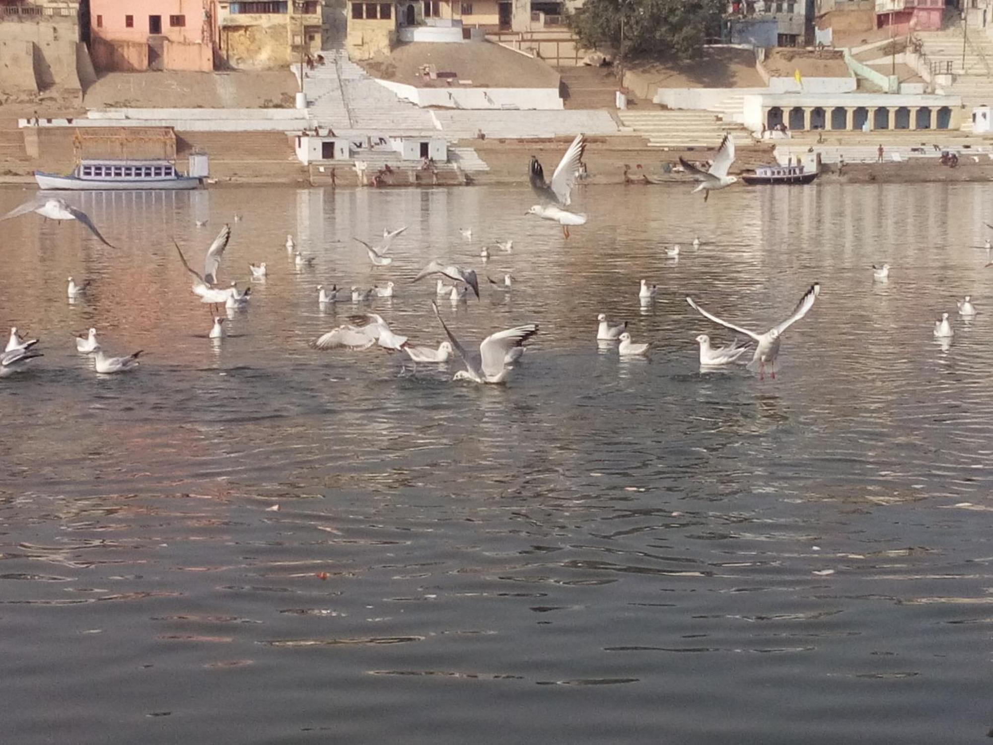Tandon Lodge On The Ganga Ghat Homestay Варанасі Екстер'єр фото